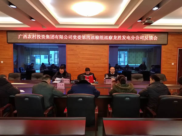 1.農(nóng)投集團黨委第四巡察組向龍勝發(fā)電分公司反饋巡察情況.jpg