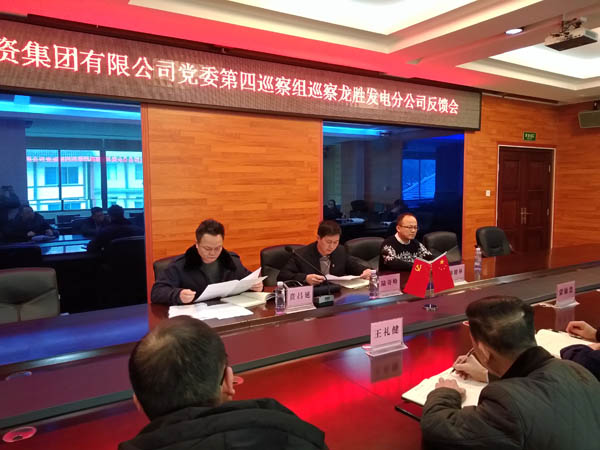 2.農(nóng)投集團黨委第四巡察組向龍勝發(fā)電分公司反饋巡察情況.jpg