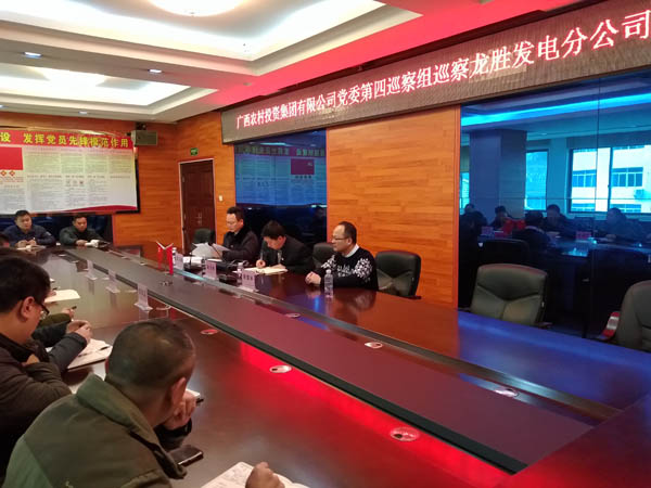 3.農(nóng)投集團黨委第四巡察組向龍勝發(fā)電分公司反饋巡察情況.jpg